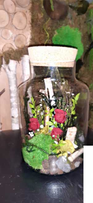 Terrarium 2