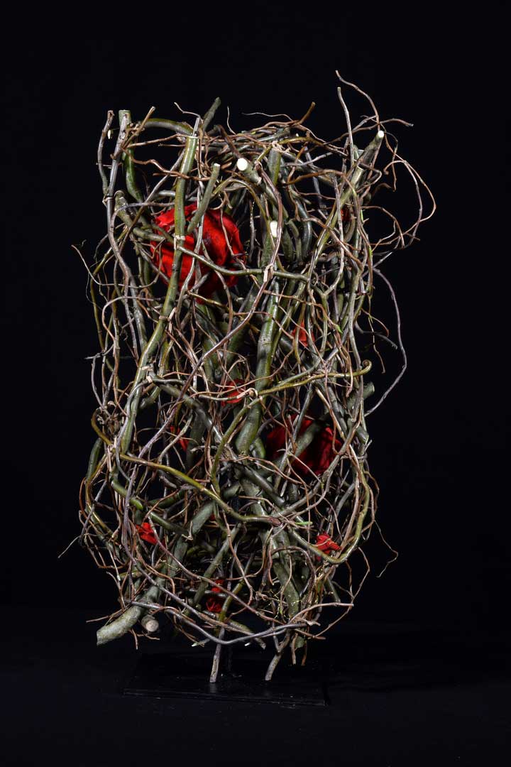 Végétal sec ou bois flotté