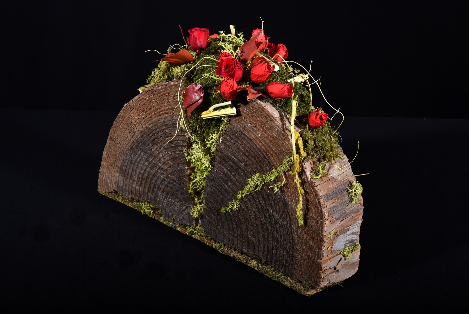 Demi Tranche Forestière