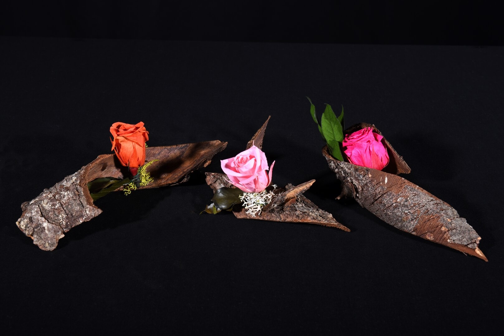 Mini Rose sur Écorces