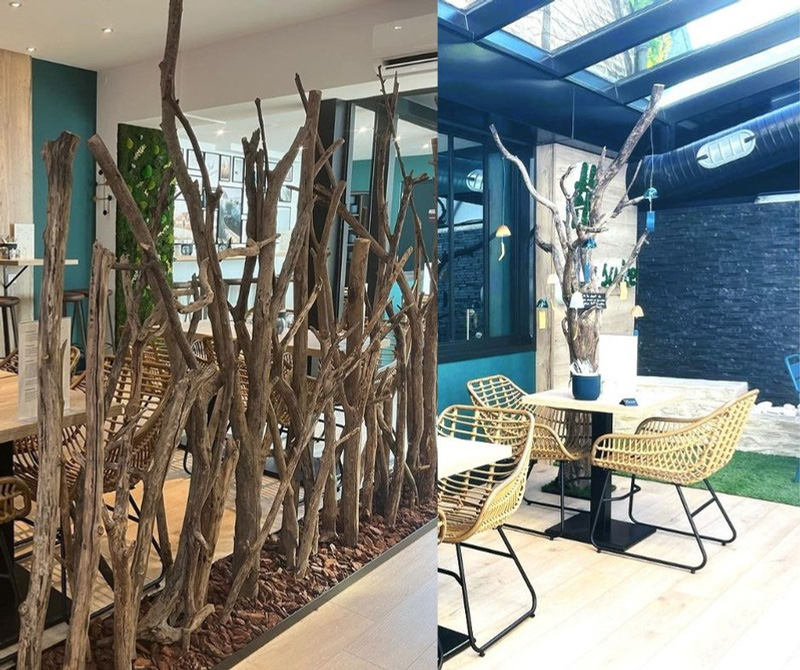 Restaurant Jardin d'Intérieur