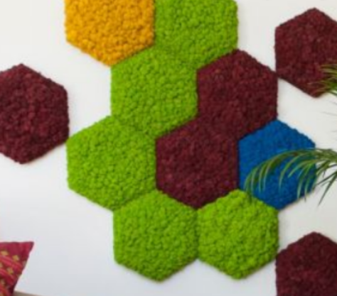 Patchwork hexagonal végétal